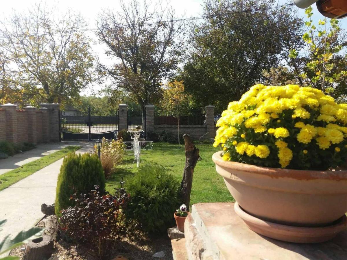 Rita Apartman & Studio Zrenjanin Exterior photo